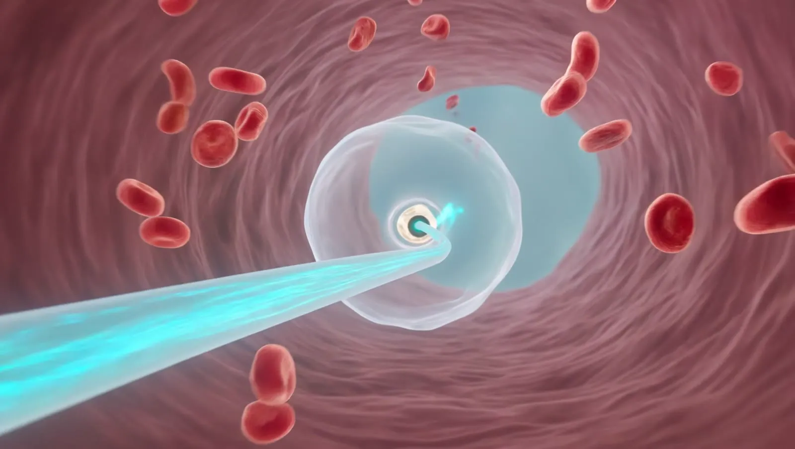 Inside a vein with red blood cells